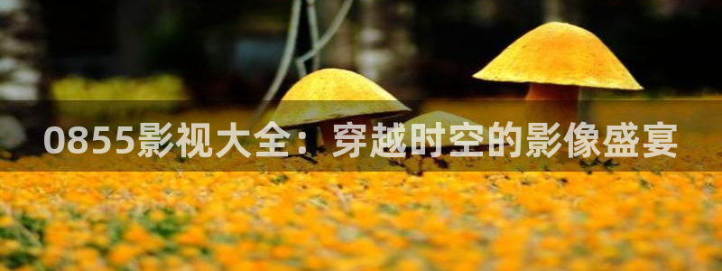 国产第一页浮力影院